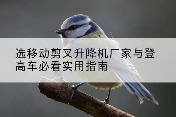 光明电动升降机厂家-选移动剪叉升降机厂家与登高车必看实用指南