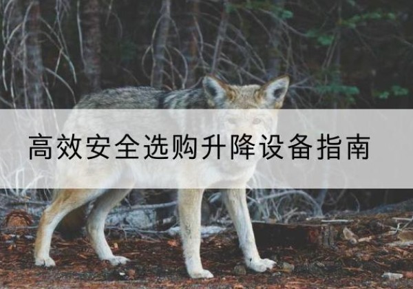 光明升降货梯厂家推荐-*安全选购升降设备指南