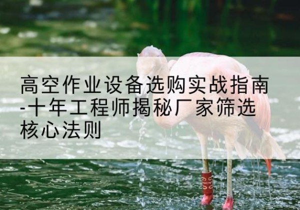 光明剪叉式升降机厂家-高空作业设备选购实战指南-十年工程师揭秘厂家筛选核心法则